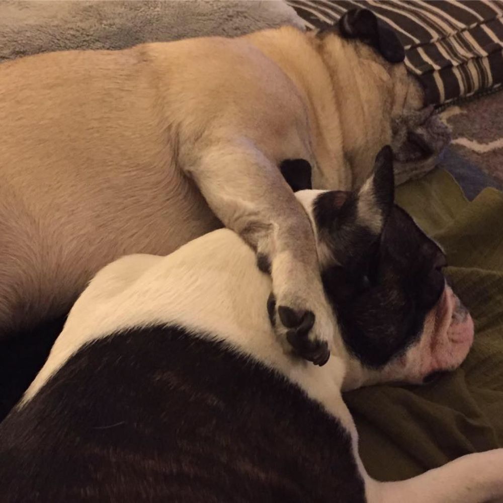 Meet your Posher, Jenny